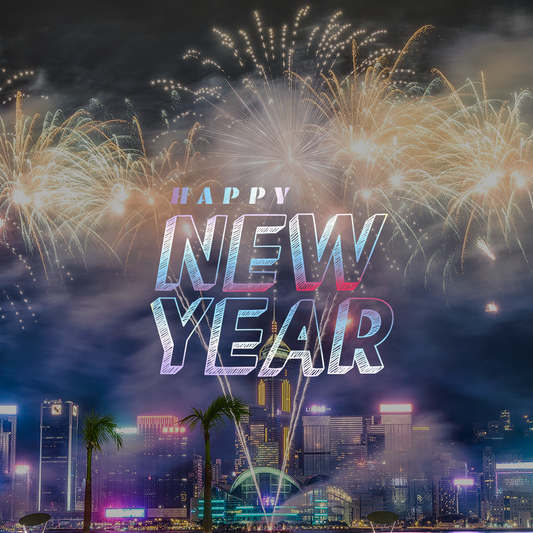 New Years Day 29