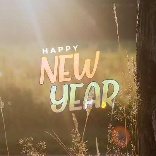 New Years Day 30