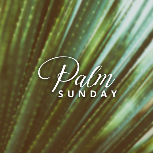 Palm Sunday 2