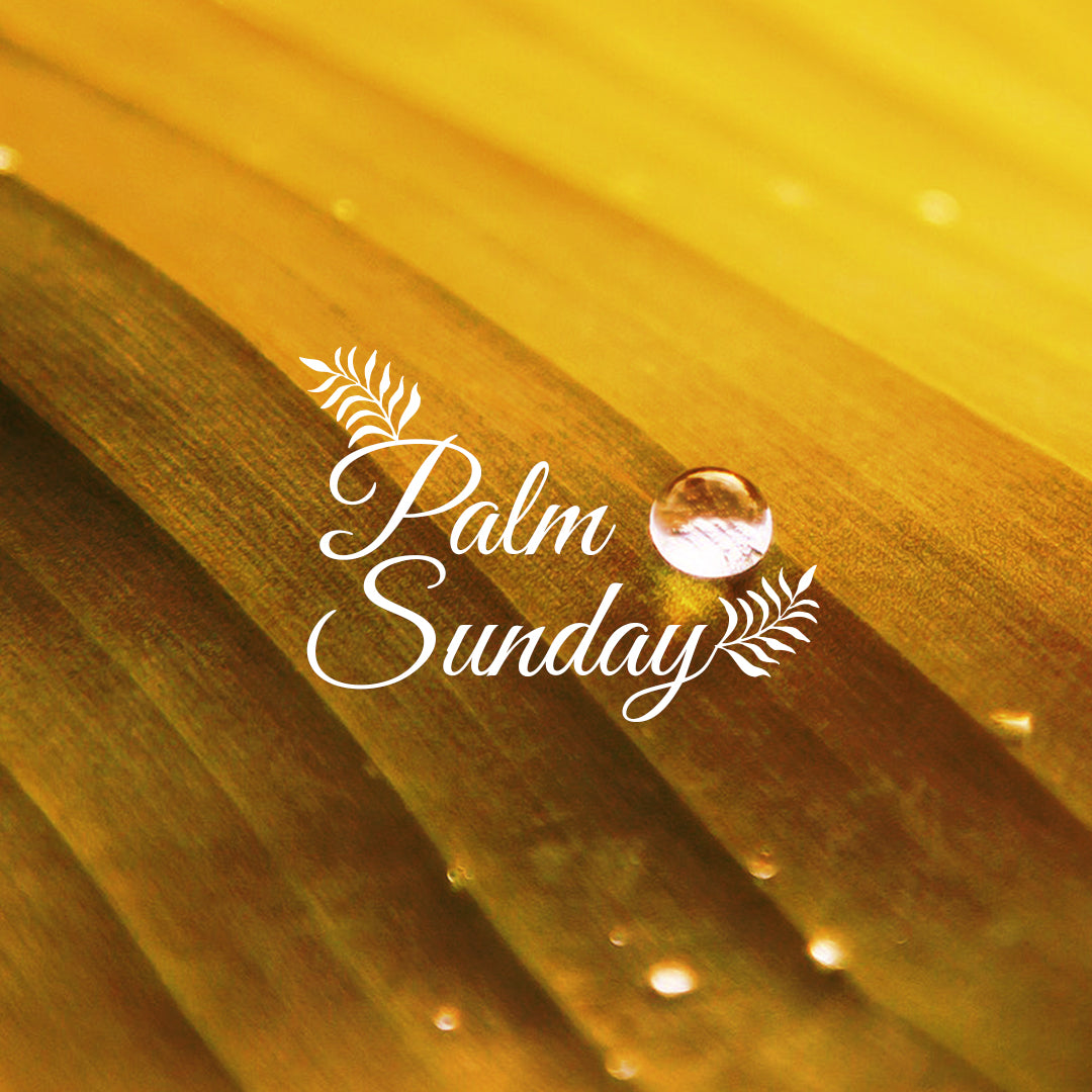 Palm Sunday 4