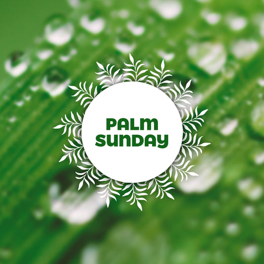 Palm Sunday 5