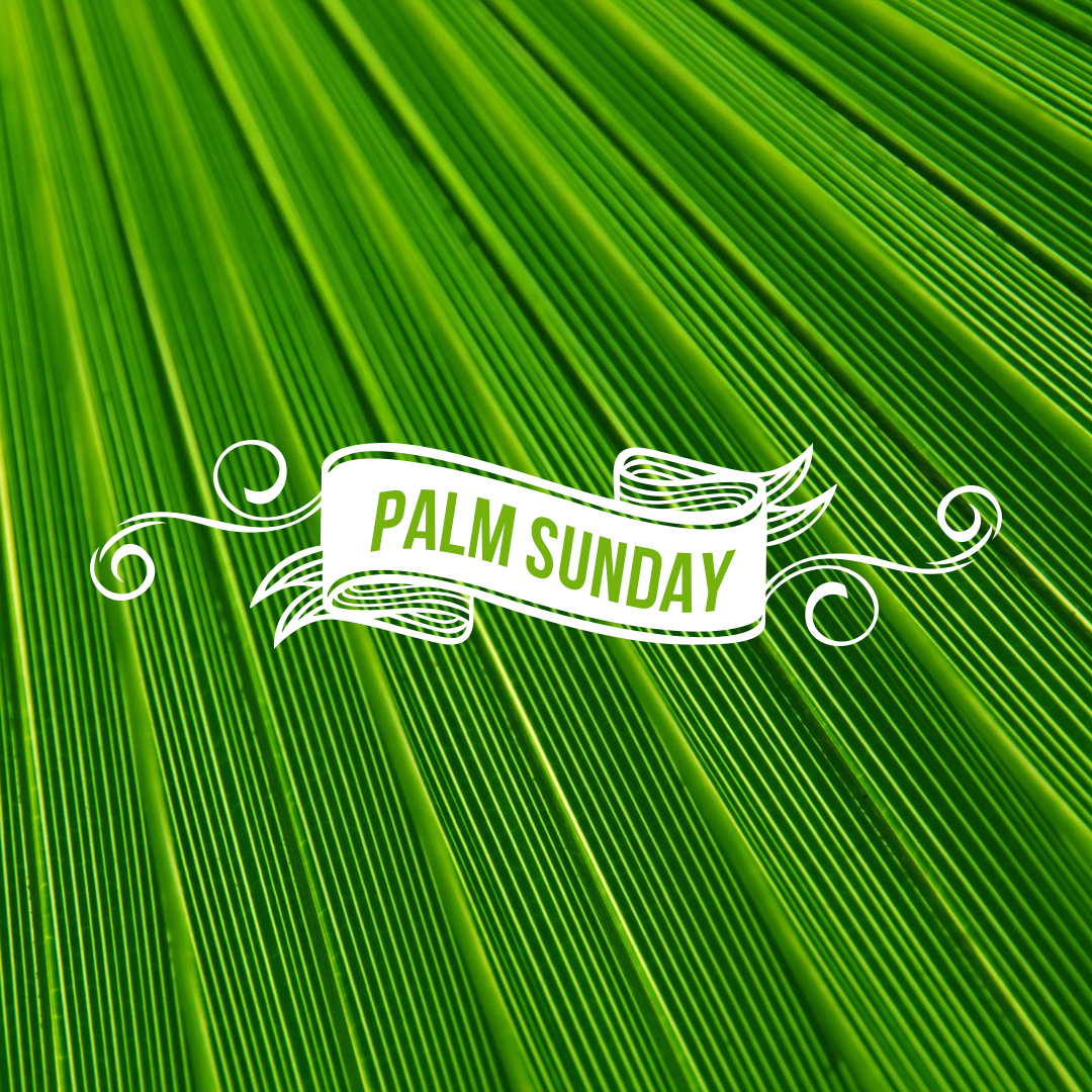 Palm Sunday 19