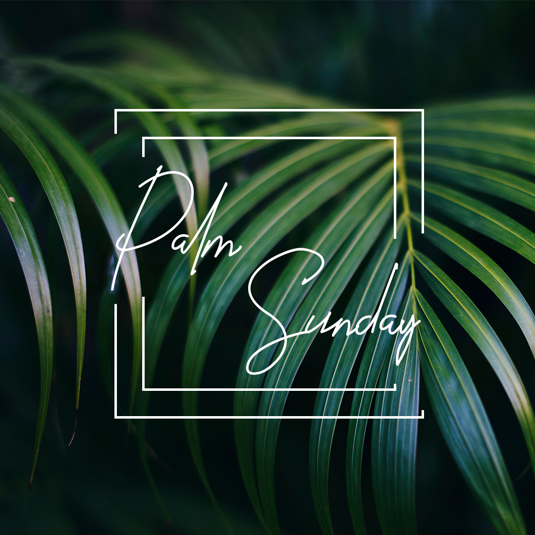 Palm Sunday 24