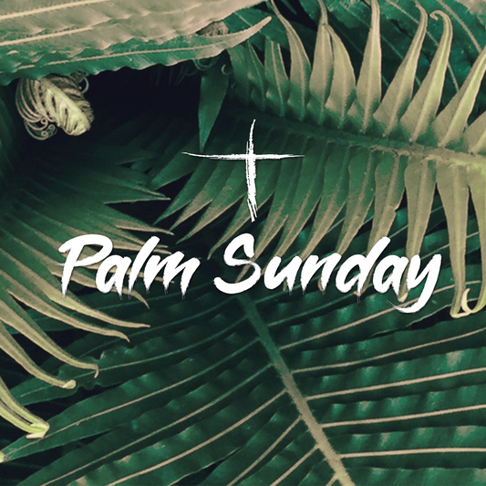 Palm Sunday 39