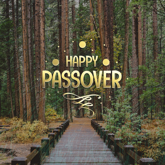 Passover 1