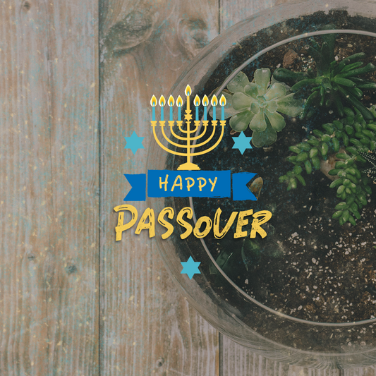 Passover 23