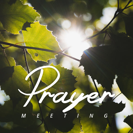 Prayer Meeting 30