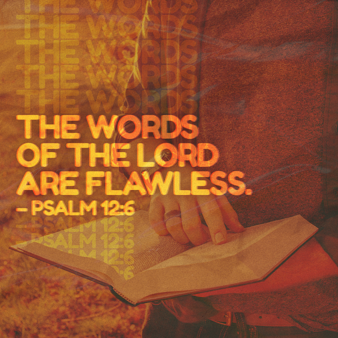 Social Scripture 444