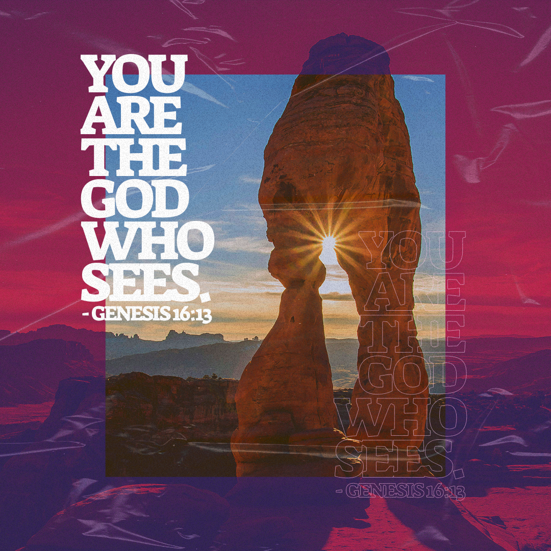 Social Scripture 455