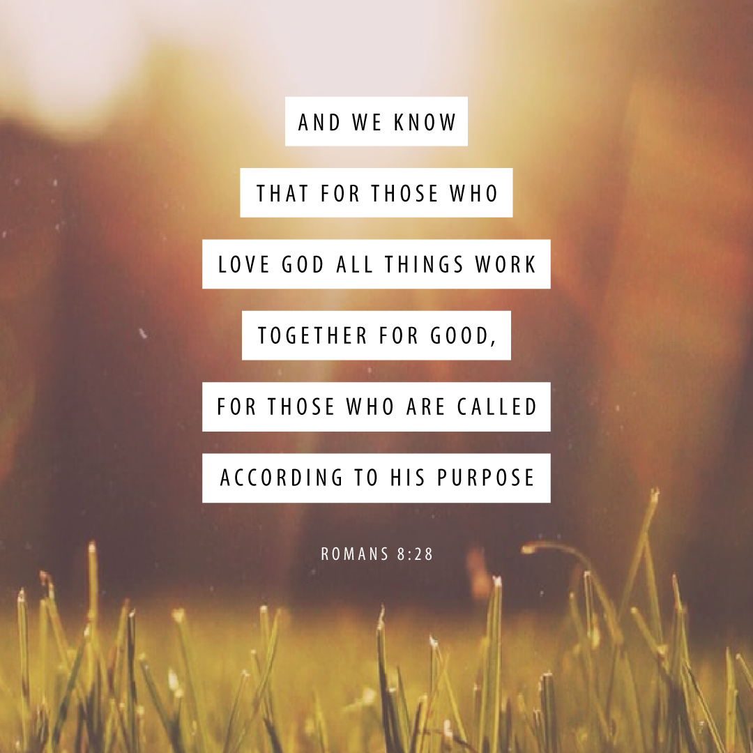 Scripture Media Social Scripture 49 – Ministry Designs