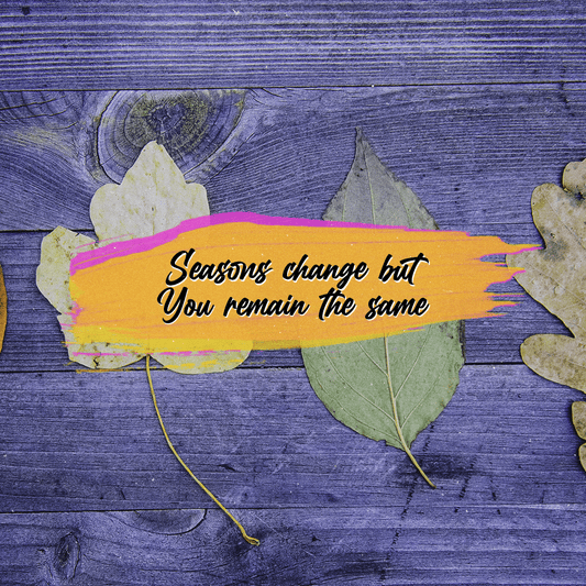 Social Inspirational 367