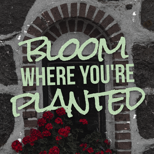 Social Inspirational 418