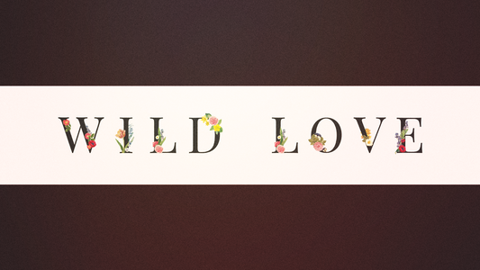 Wild Love Sermon Banner