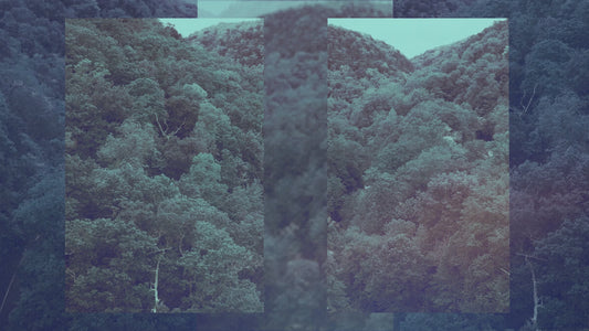 Motion Worship Background - Jungle (Landscape) 02